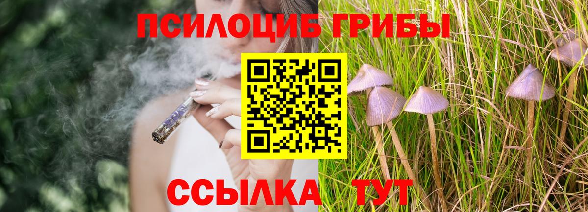 Галлюциногенные грибы Cubensis  Вход с VPN  Галлюциногенные грибы мицелий  Гудермес 