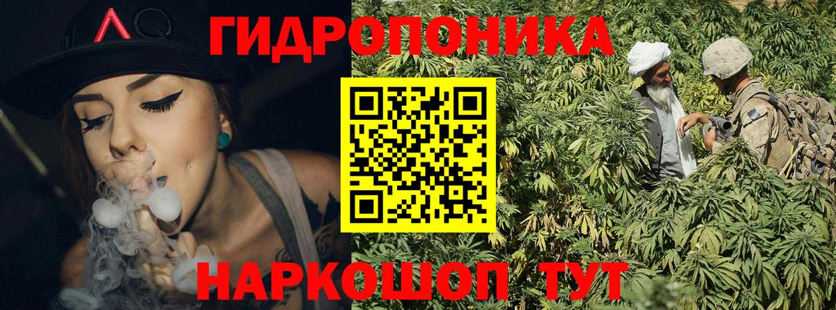 Конопля гибрид  Бошки марихуана AK-47  Вход с VPN  Гудермес  Конопля тримм 